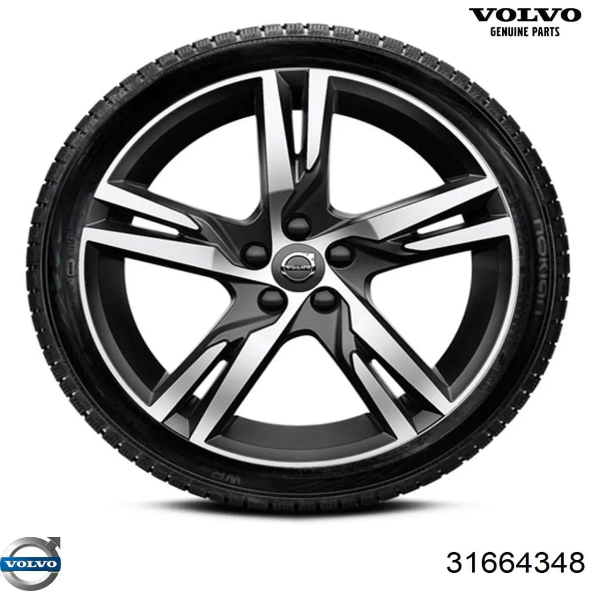 Купити 31664348 Volvo 
