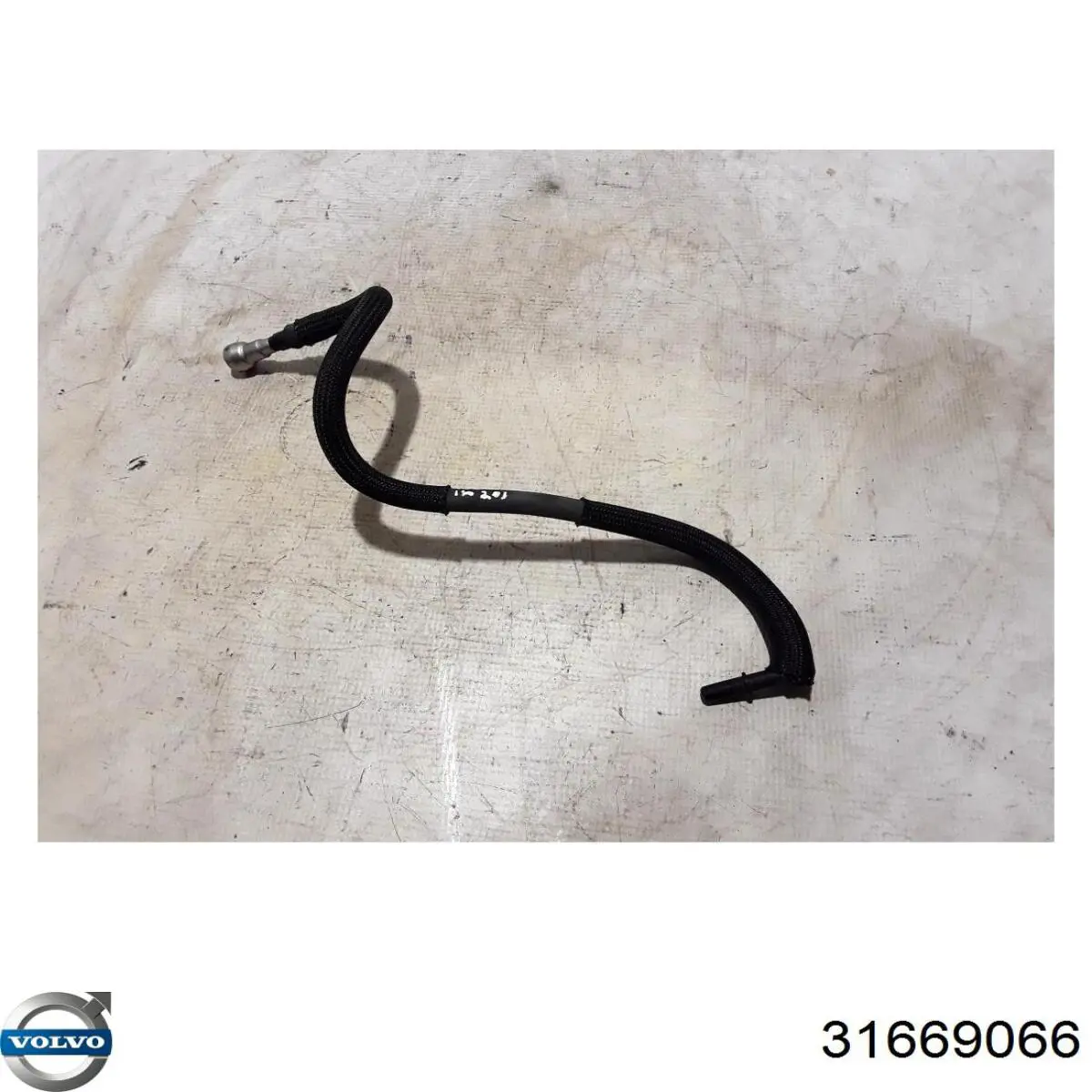 31669066 Volvo 