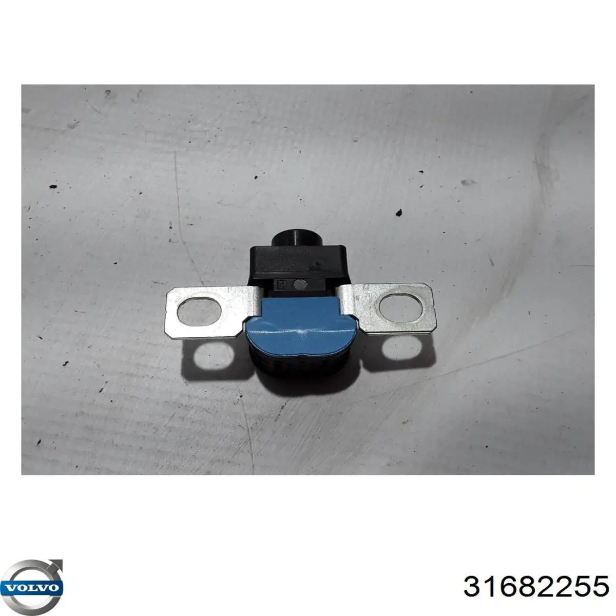  31682255 Volvo