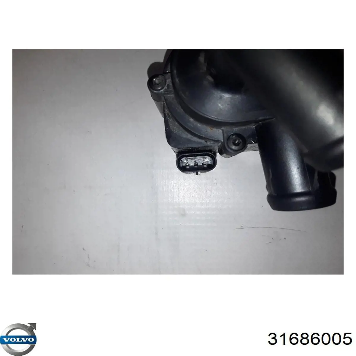 Помпа охолодження Volvo 31686005 ціна, від 56.24 USD