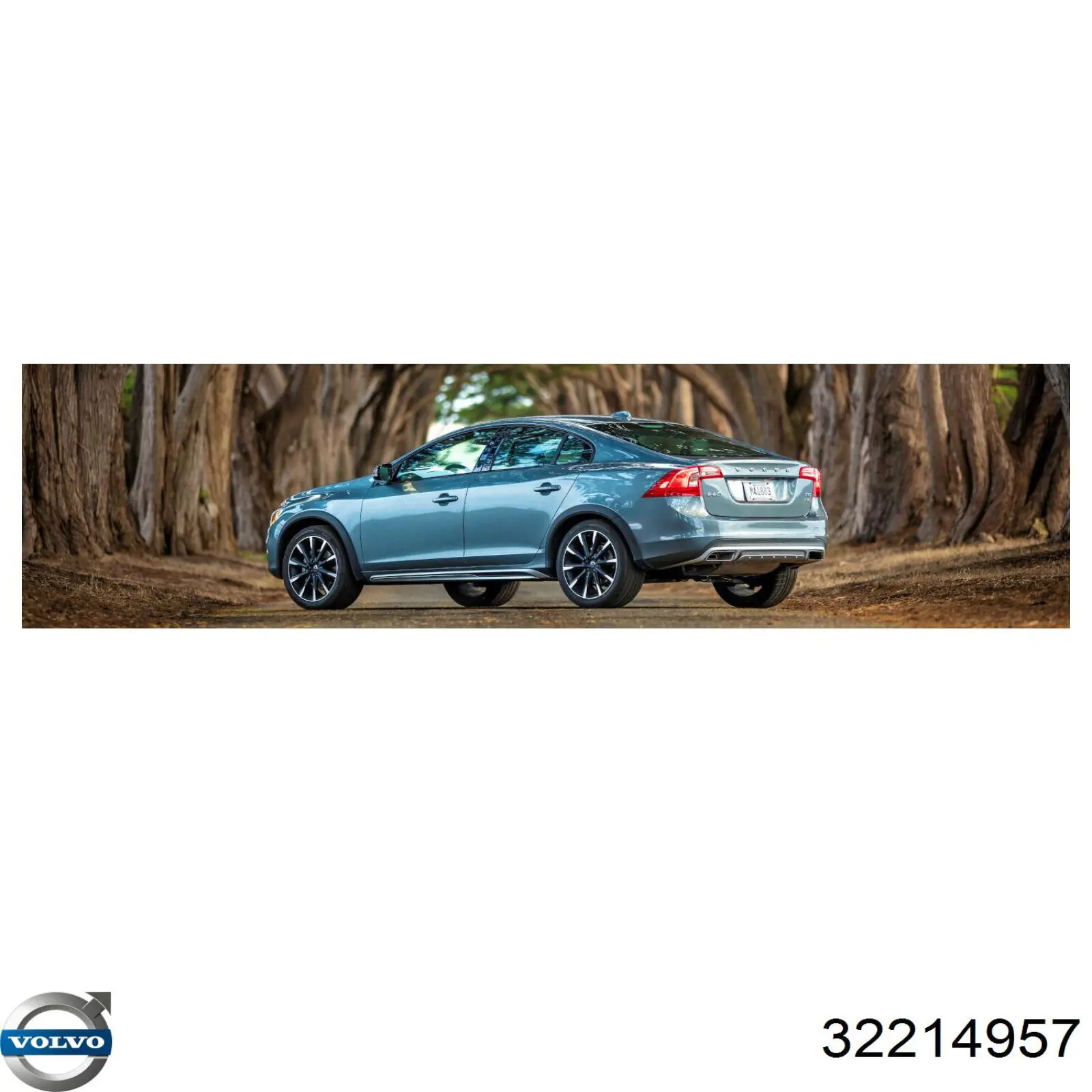 Купити 32214957 Volvo Рідина гальмівна