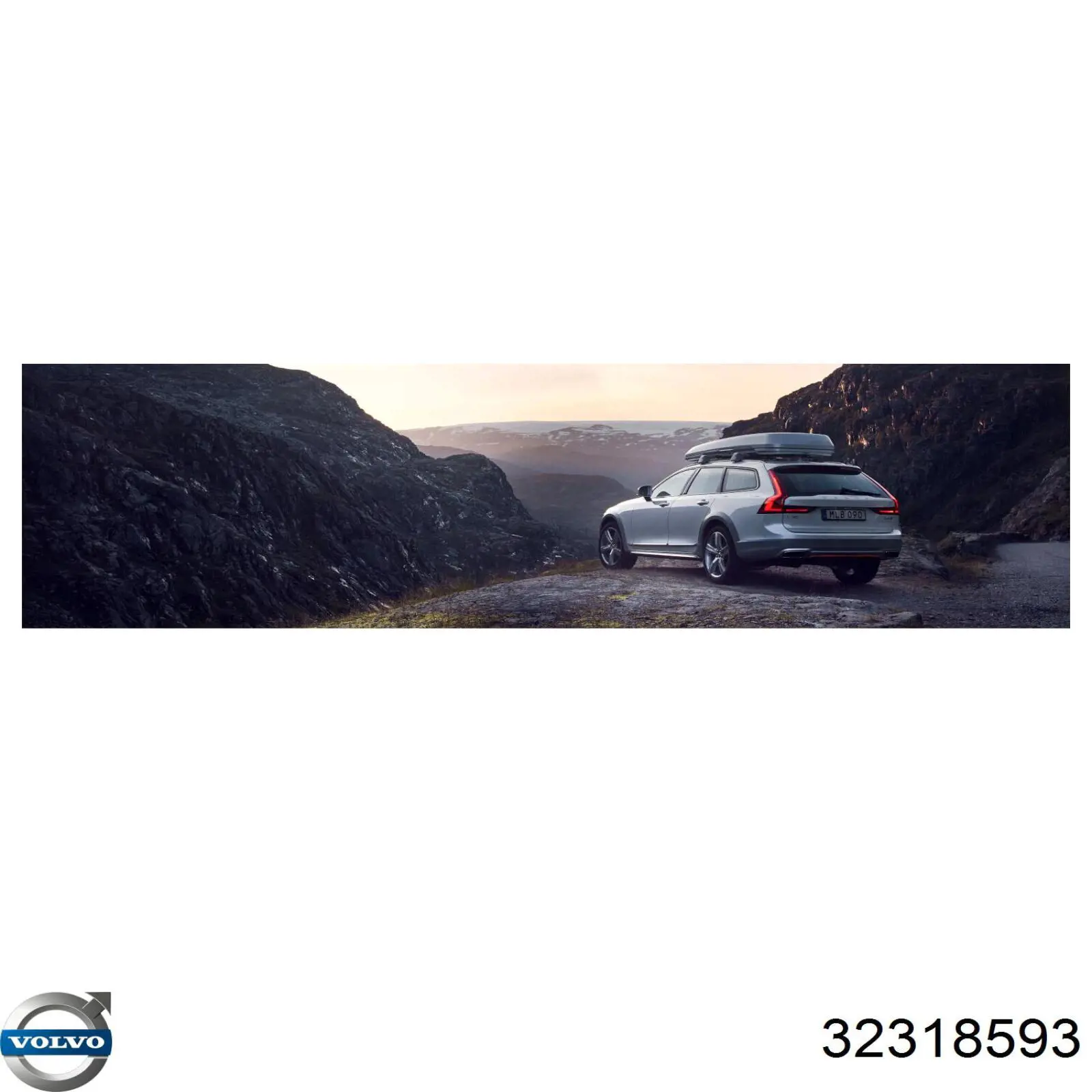 Амортизатор капота газовий Lesjofors 8095810 ціна, від 15.81 USD