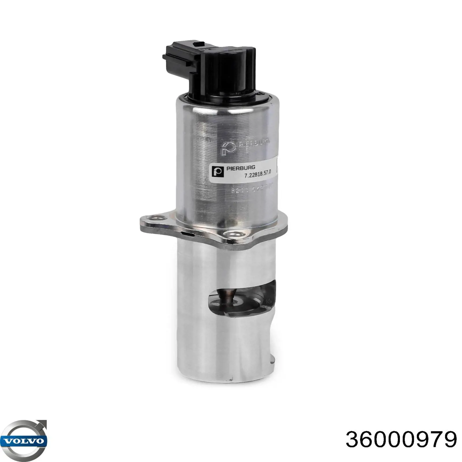 Клапан EGR Volvo 36000979 ціна, від 50.85 USD