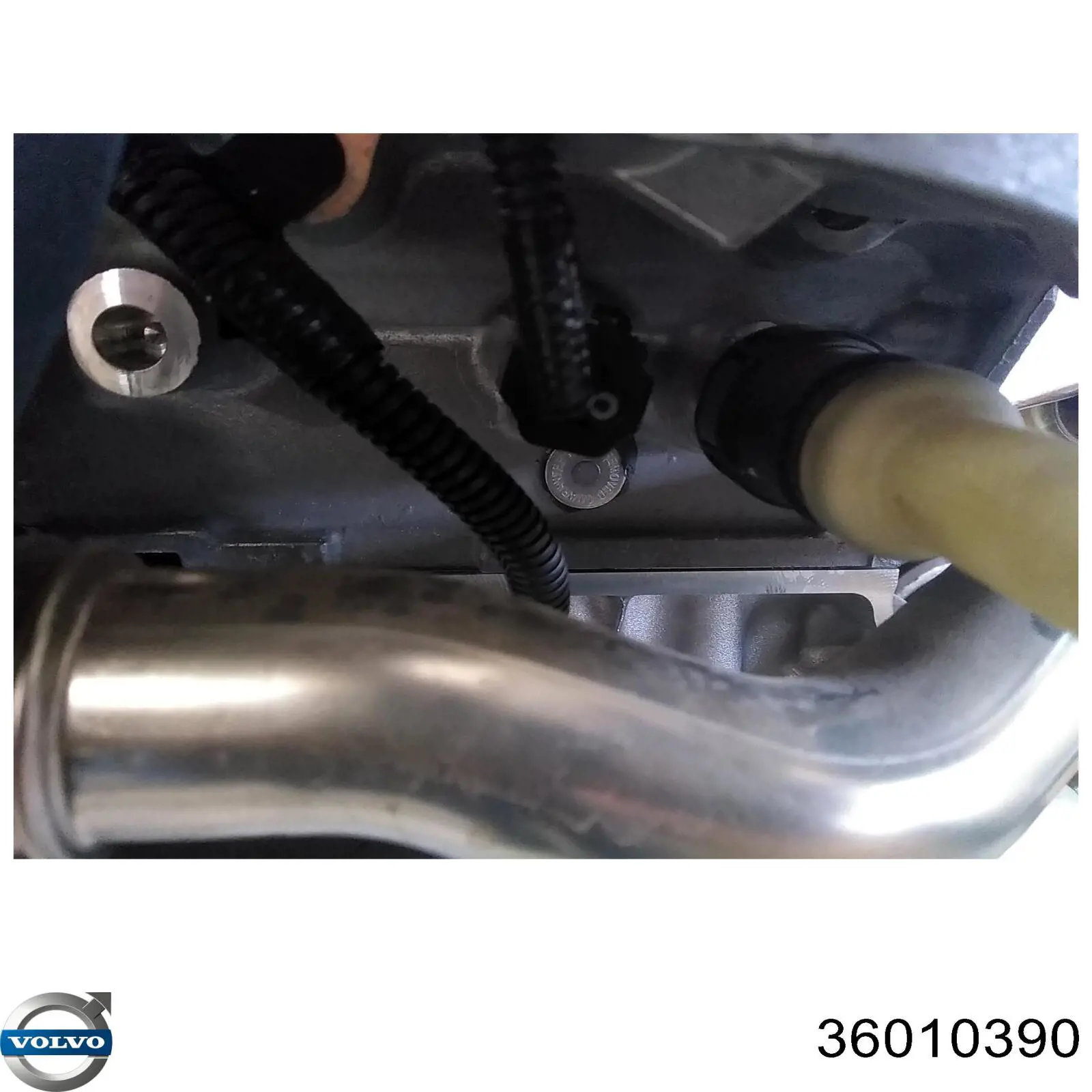 Купити 36010088 Volvo Насос паливний високого тиску (ПНВТ) - DIESEL