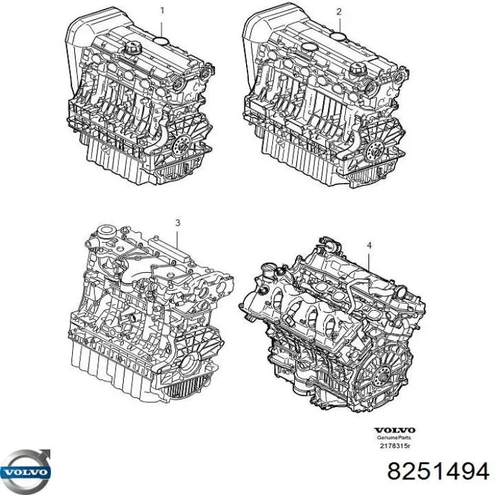 Купити 8251494 Volvo Двигун