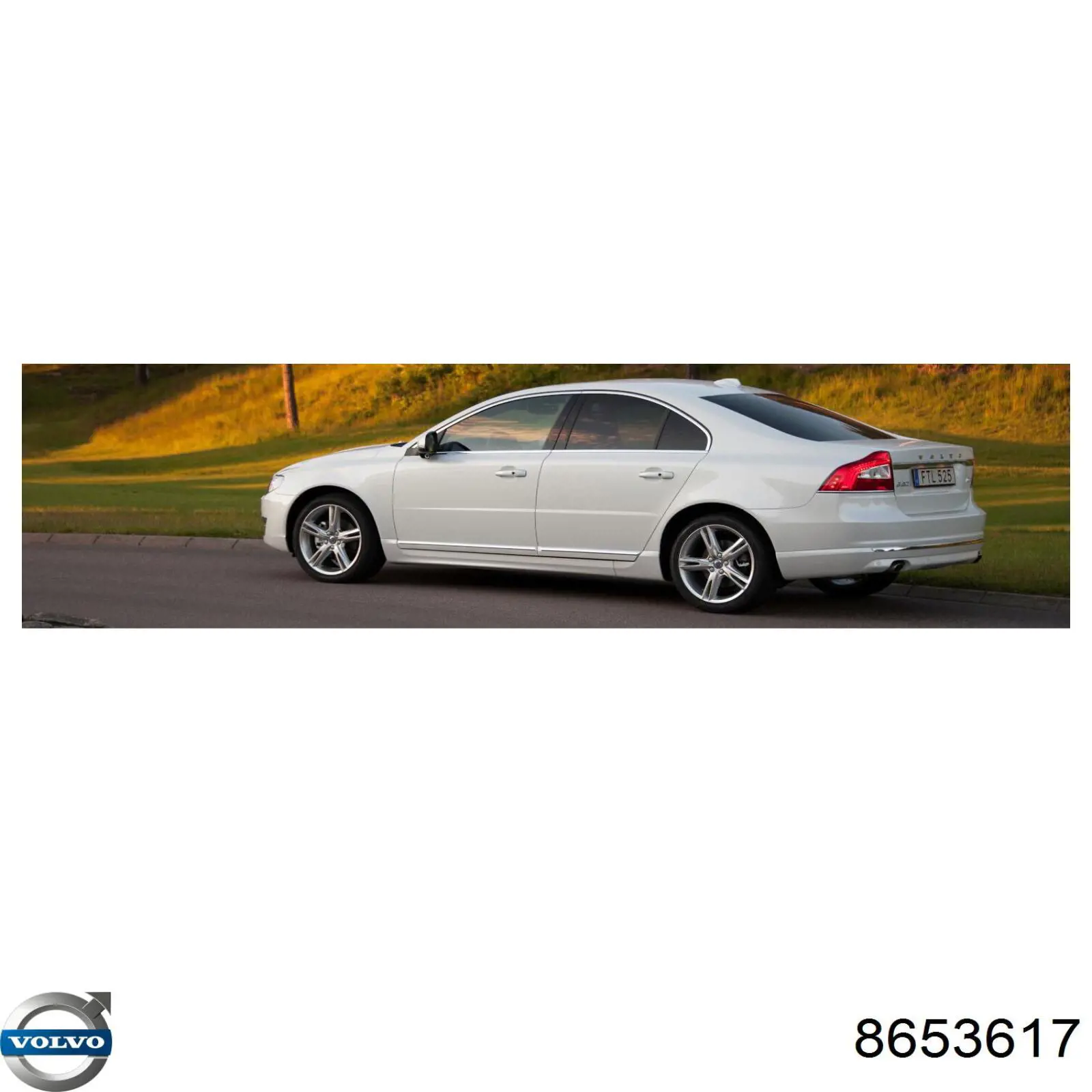 Купити 8653617 Volvo Ремінь генератора