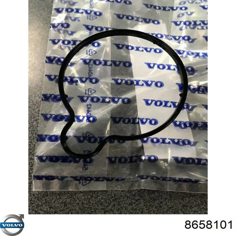 Прокладка вакуумного насосу Volvo 8658101 ціна, від 8.02 USD