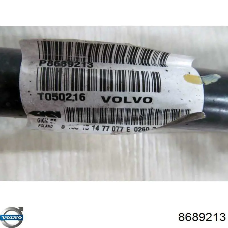 8689213 Volvo 