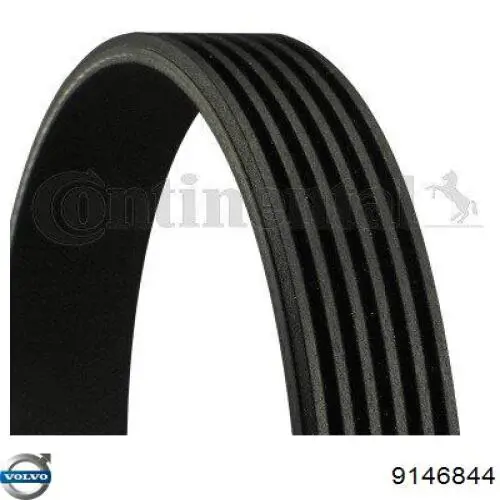 Купити 9146844 Volvo Ремінь генератора
