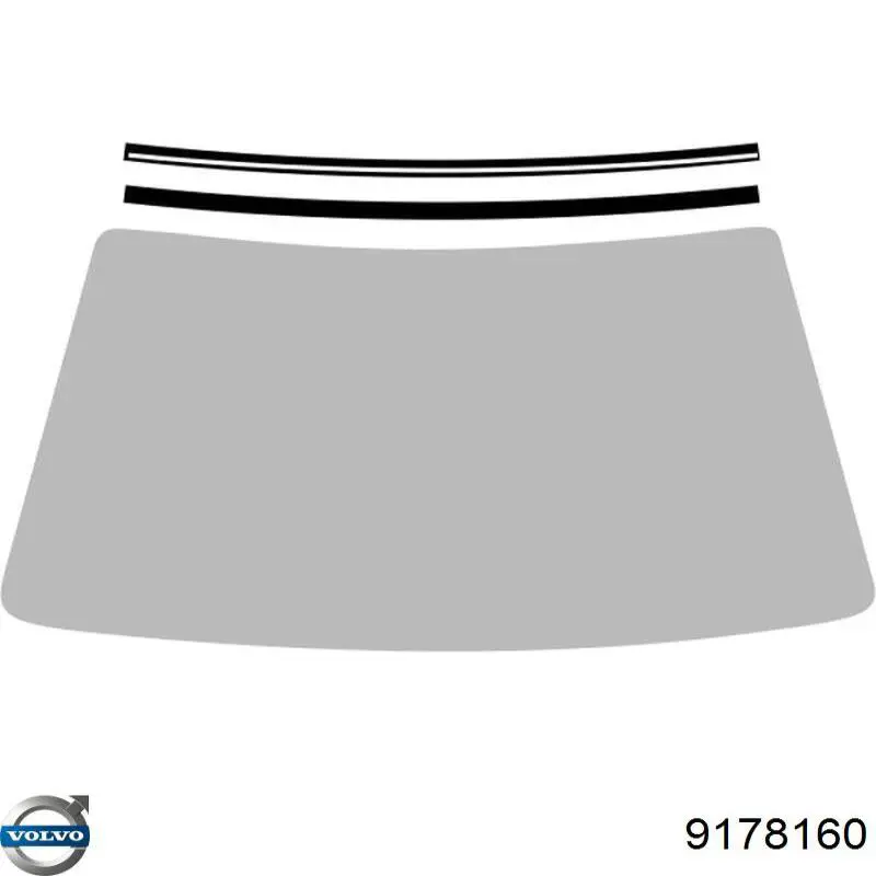 9178160 Volvo Автомобільне скло