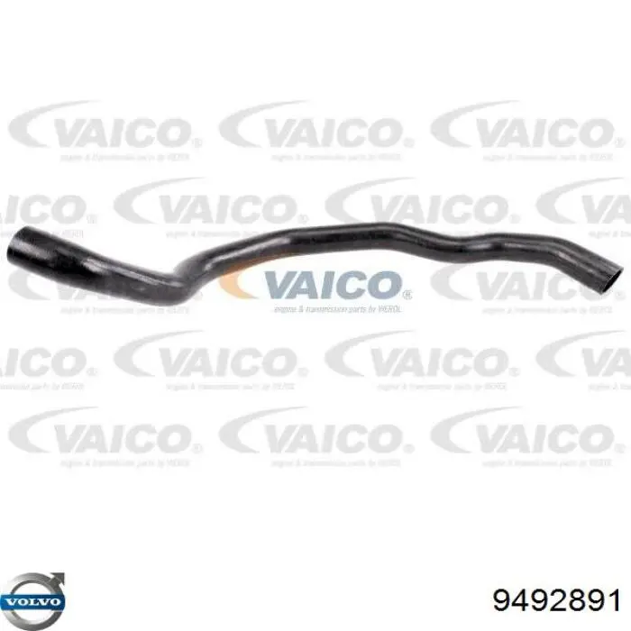 Купити 9492891 Volvo Шланг/патрубок радіатора охолодження, нижній