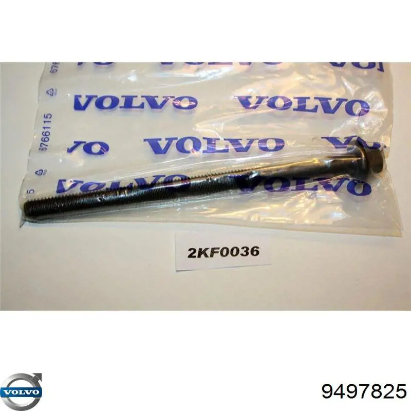 Болт головки блока циліндрів, ГБЦ Volvo 9497825 ціна, від 7.70 USD