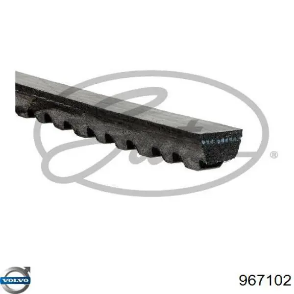 Купити 967102 Volvo Ремінь генератора