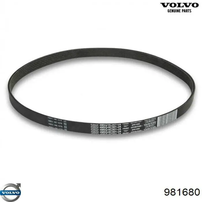 Купити 981680 Volvo Ремінь генератора