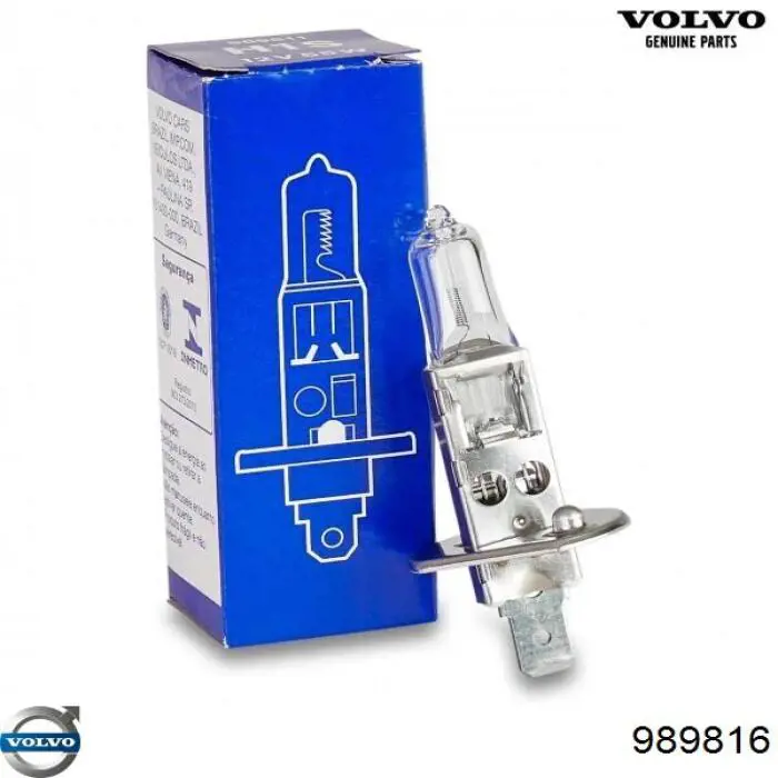 Купити 989816 Volvo Лампочка галогенна