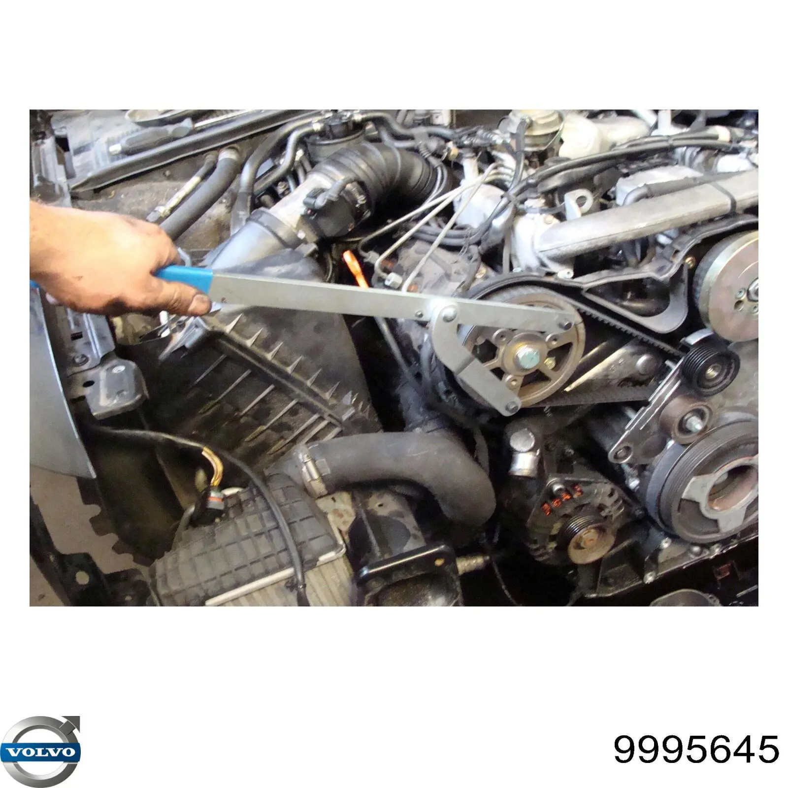 Купити 9995645 Volvo 
