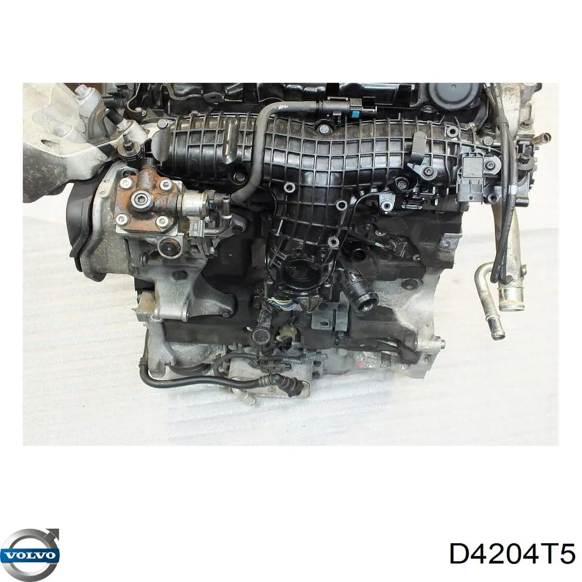 Купити D4204T5 Volvo Двигун