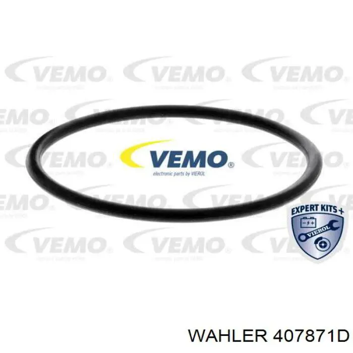 Купити WA410571D Wahler Термостат в корпусі