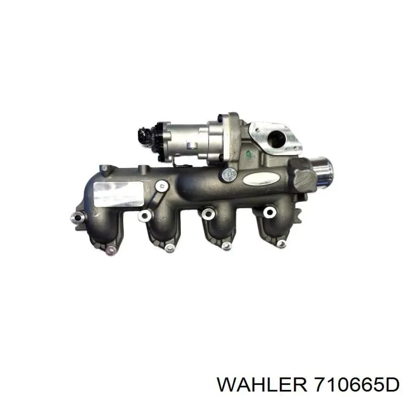 Купити EGR12210 Freccia Впускний колектор