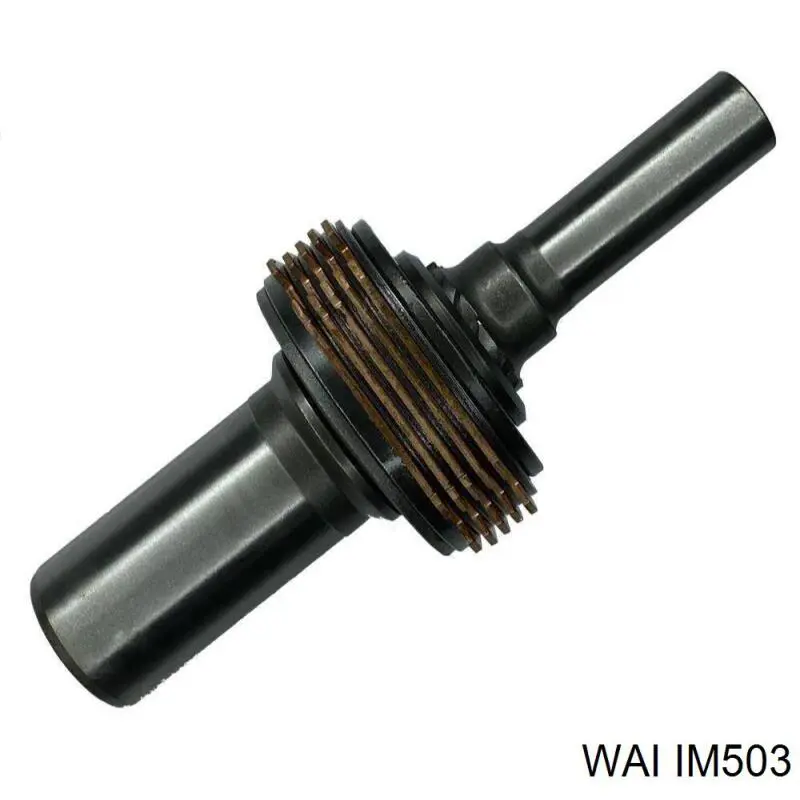 IM503 WAI Реле-регулятор (напруги)