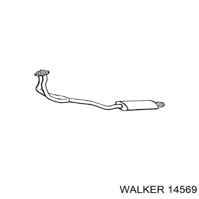  14569 Walker