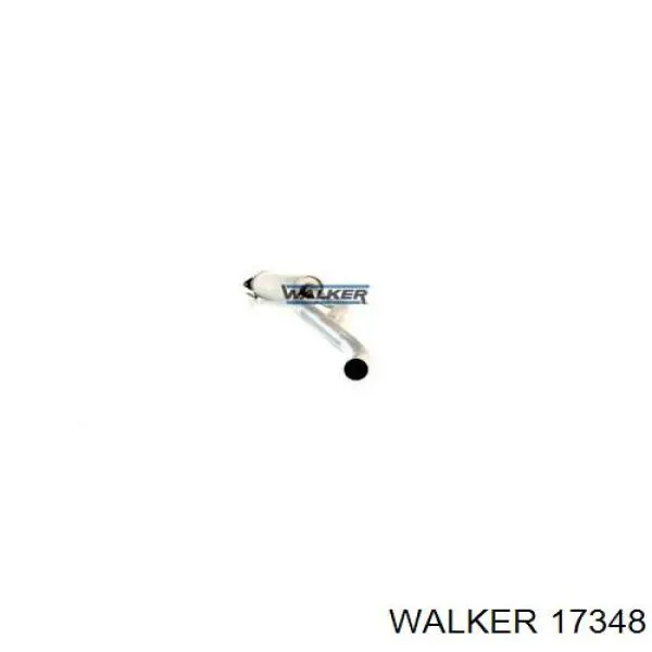 17348 Walker глушник, центральна частина