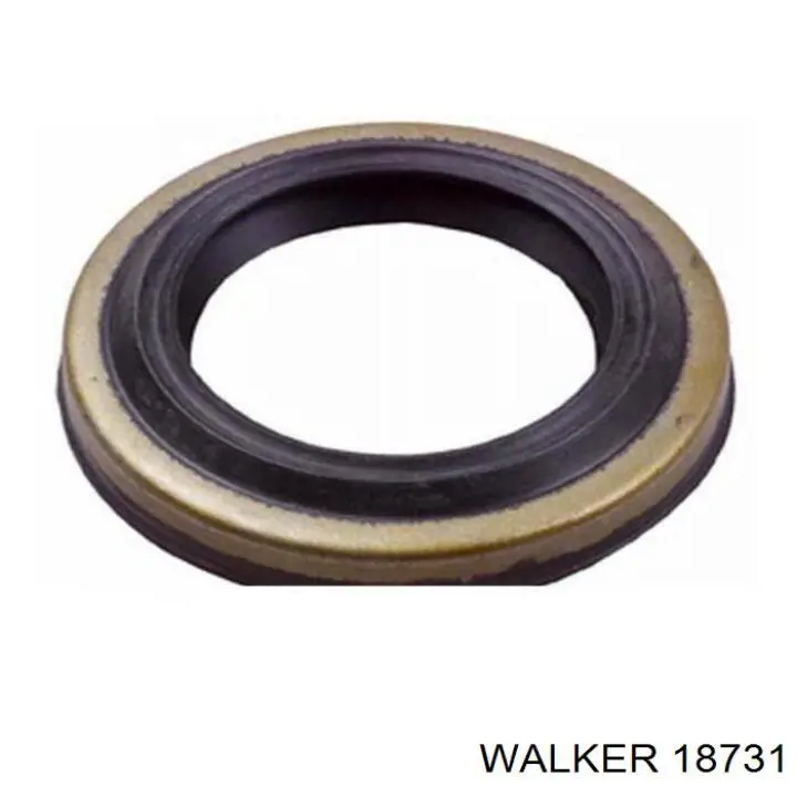 18731 Walker глушник, центральна частина