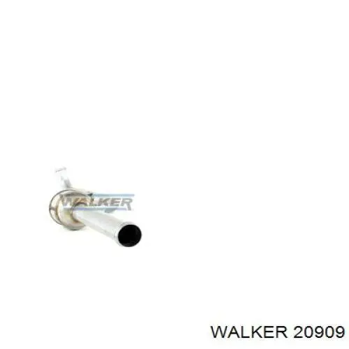 20909 Walker глушник, центральна частина