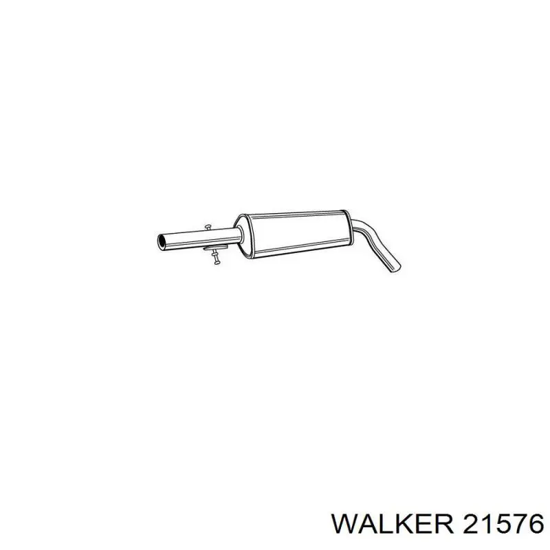 21576 Walker глушник, центральна частина