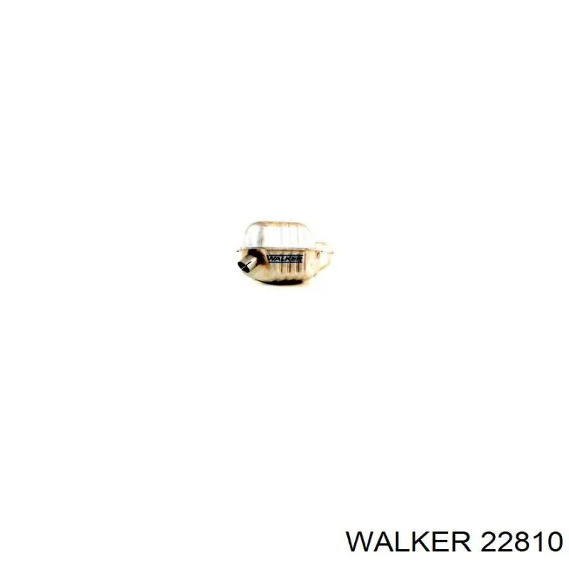  22810 Walker