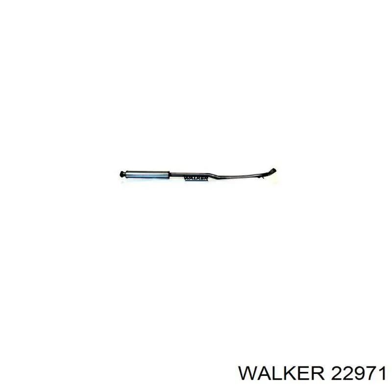  22971 Walker