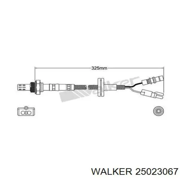 25023067 Walker 