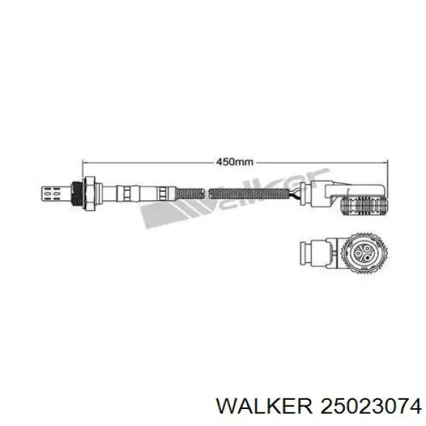 25023074 Walker 