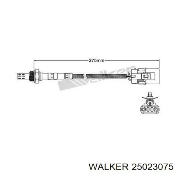 25023075 Walker 