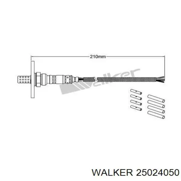 25024050 Walker лямбдазонд, датчик кисню до каталізатора