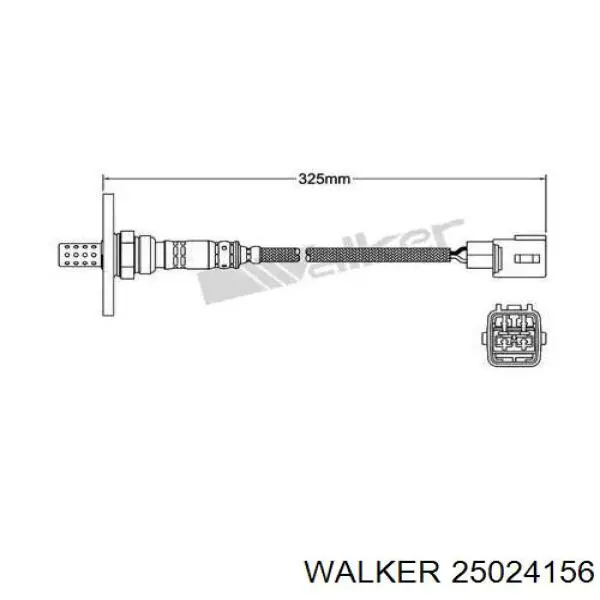  25024156 Walker