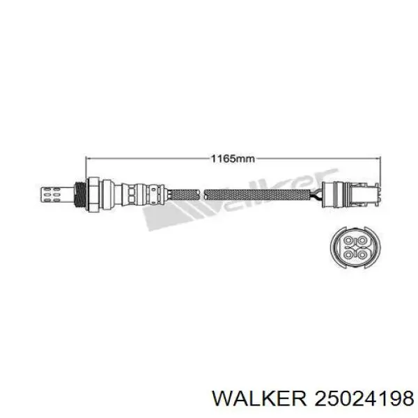 Лямбдазонд, датчик кисню до каталізатора 25024198 Walker