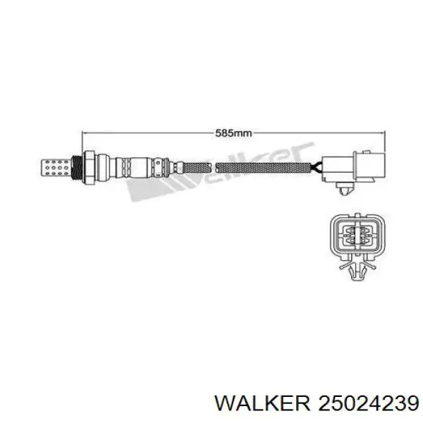 Лямбда-зонд, датчик кисню після каталізатора 25024239 Walker