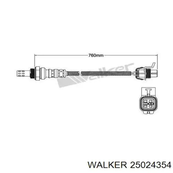  25024354 Walker