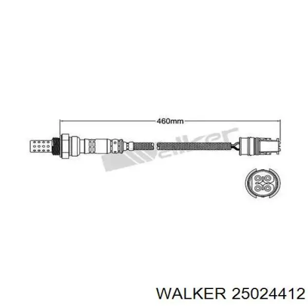 25024412 Walker 
