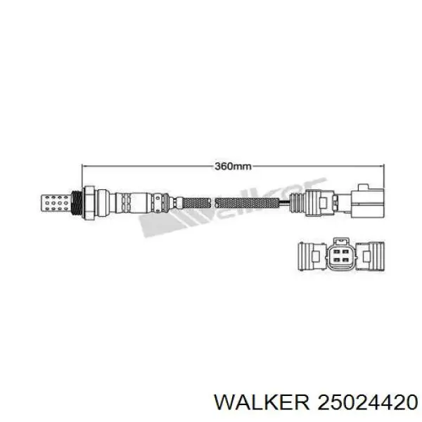 Лямбда-зонд, датчик кисню після каталізатора 25024420 Walker