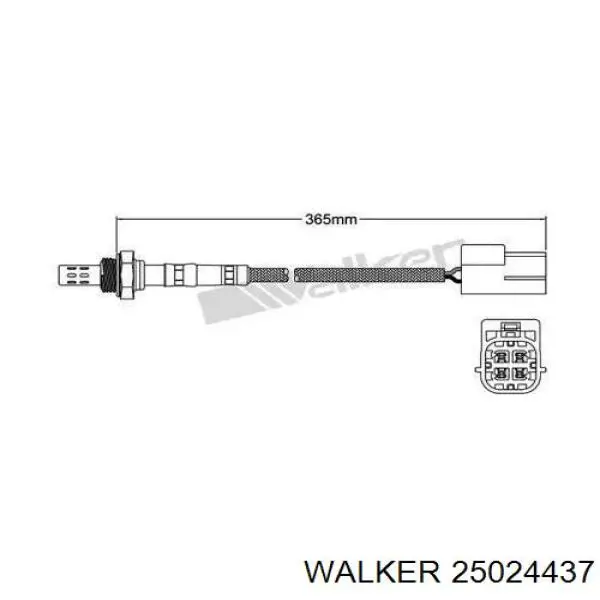 Лямбдазонд, датчик кисню до каталізатора 25024437 Walker