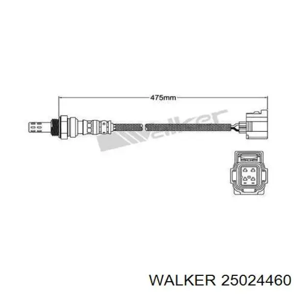 25024460 Walker лямбда-зонд, датчик кисню після каталізатора
