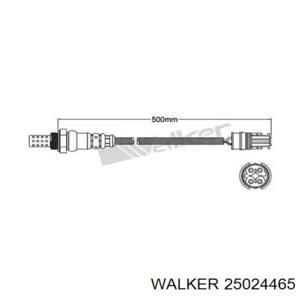 Лямбда-зонд, датчик кисню після каталізатора 25024465 Walker