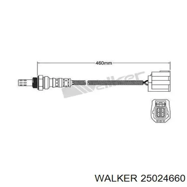 Лямбдазонд, датчик кисню до каталізатора 25024660 Walker