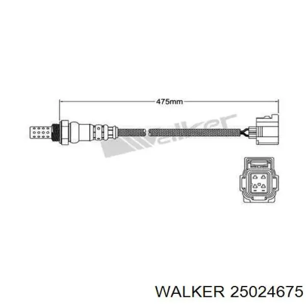 Лямбда-зонд, датчик кисню після каталізатора 25024675 Walker