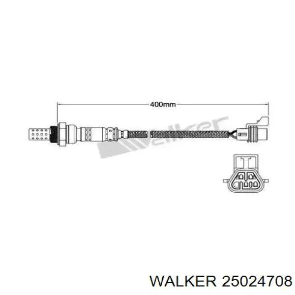  25024708 Walker