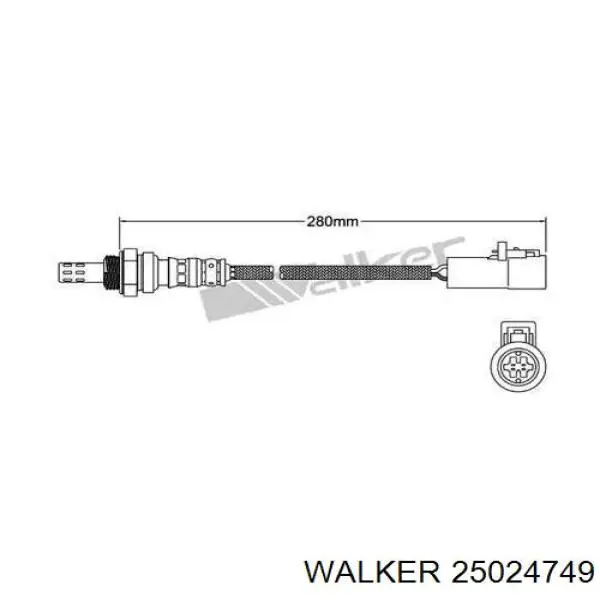 25024749 Walker лямбдазонд, датчик кисню до каталізатора