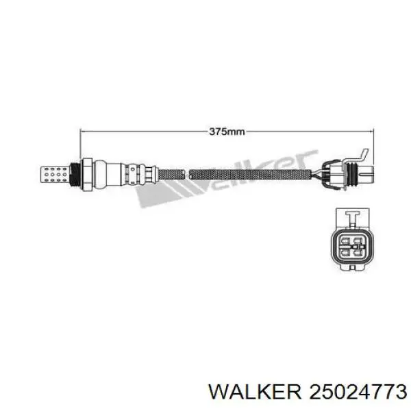  25024773 Walker