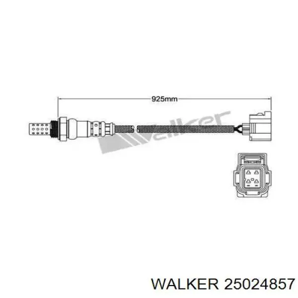  25024857 Walker